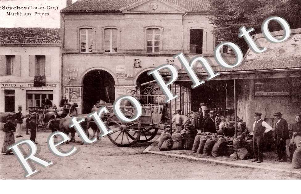 (sans légende)