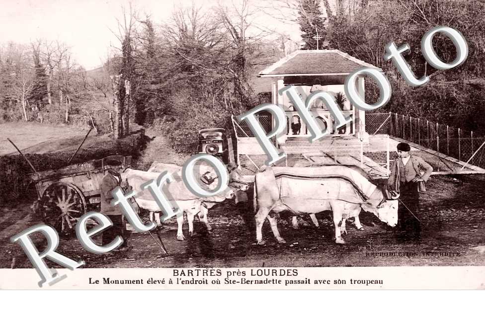 (sans légende)