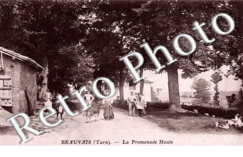 (sans légende)