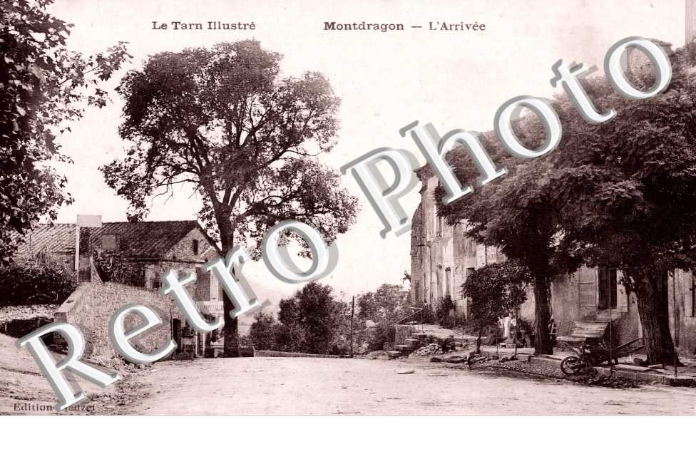 (sans légende)