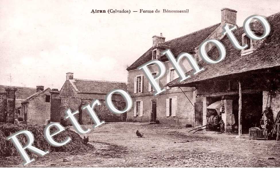 (sans légende)