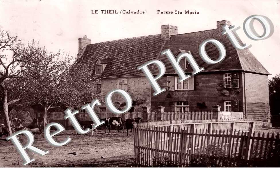 (sans légende)