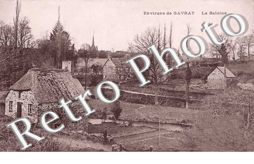 (sans légende)