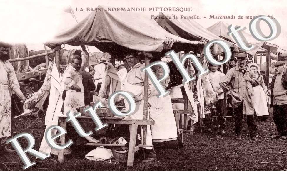 (sans légende)