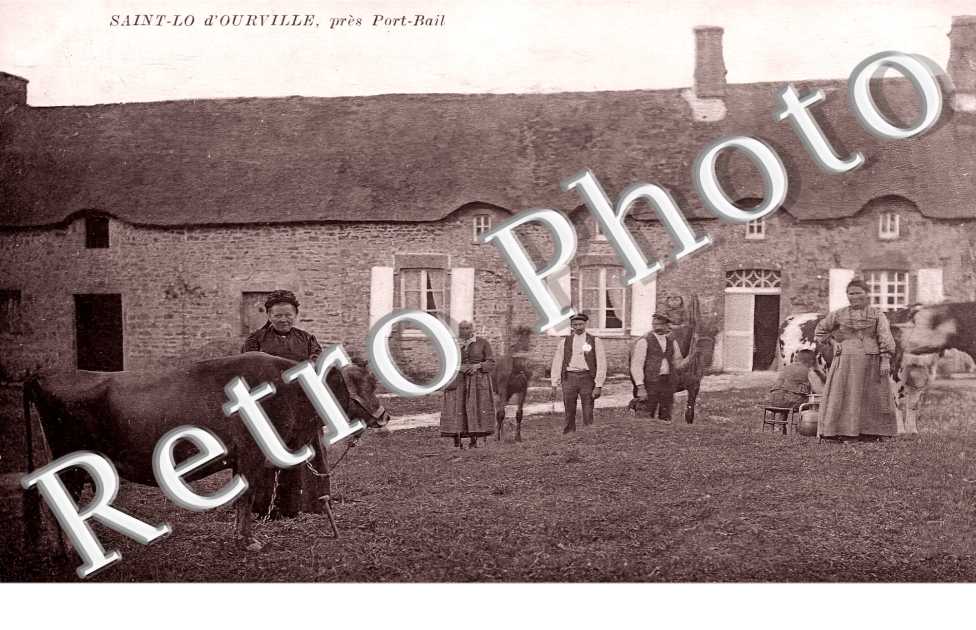 (sans légende)