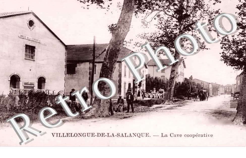 (sans légende)