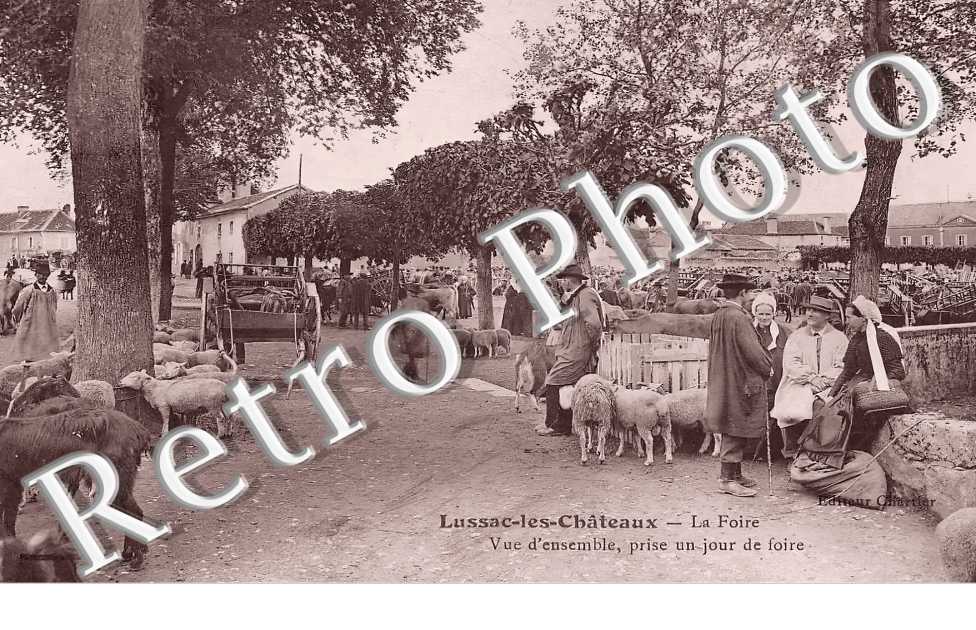 (sans légende)