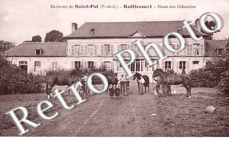 Haras des Giboulées