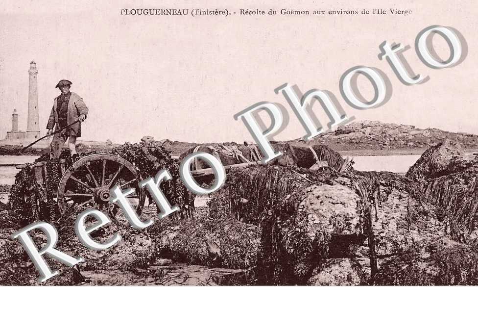 (sans légende)