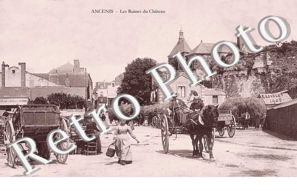 (sans légende)