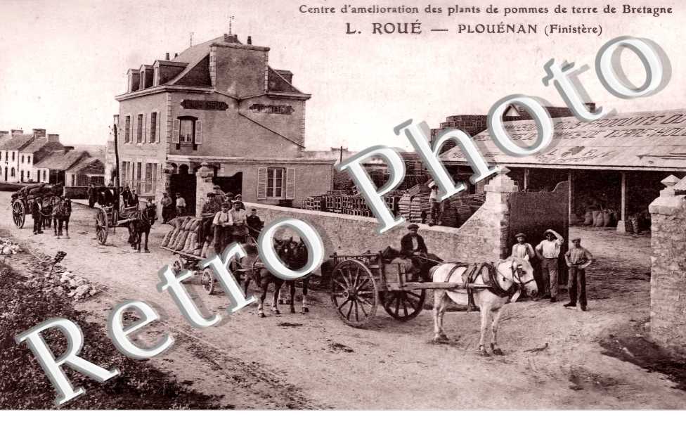 (sans légende)