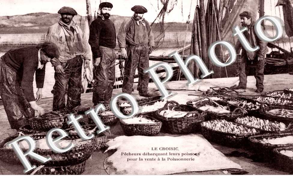 (sans légende)