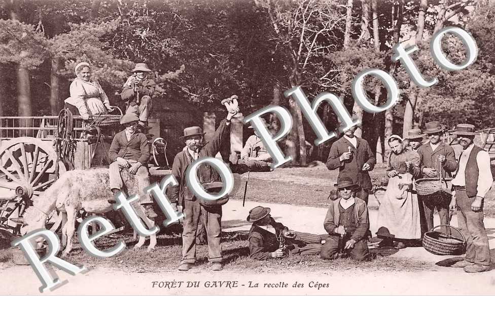 (sans légende)