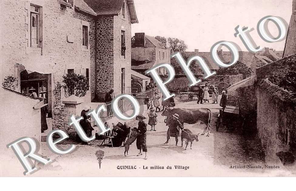 (sans légende)