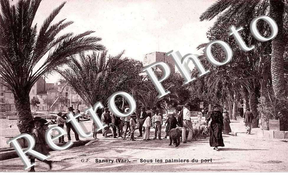 sous les palmiers du port