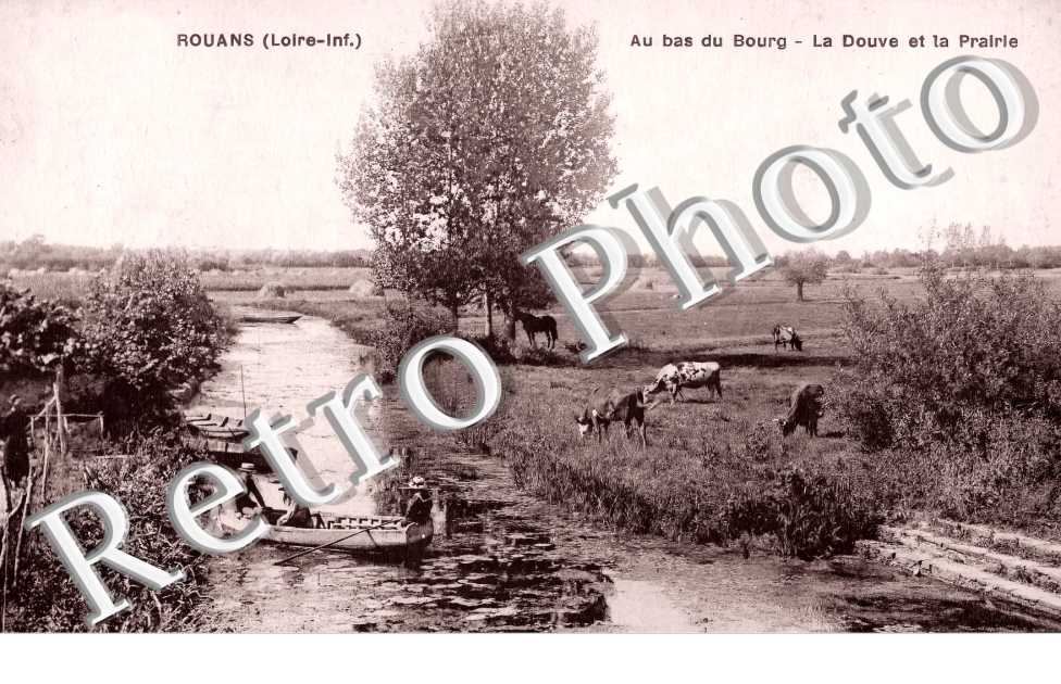(sans légende)