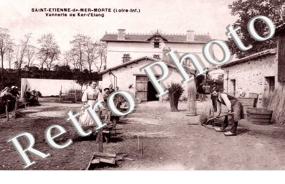 (sans légende)