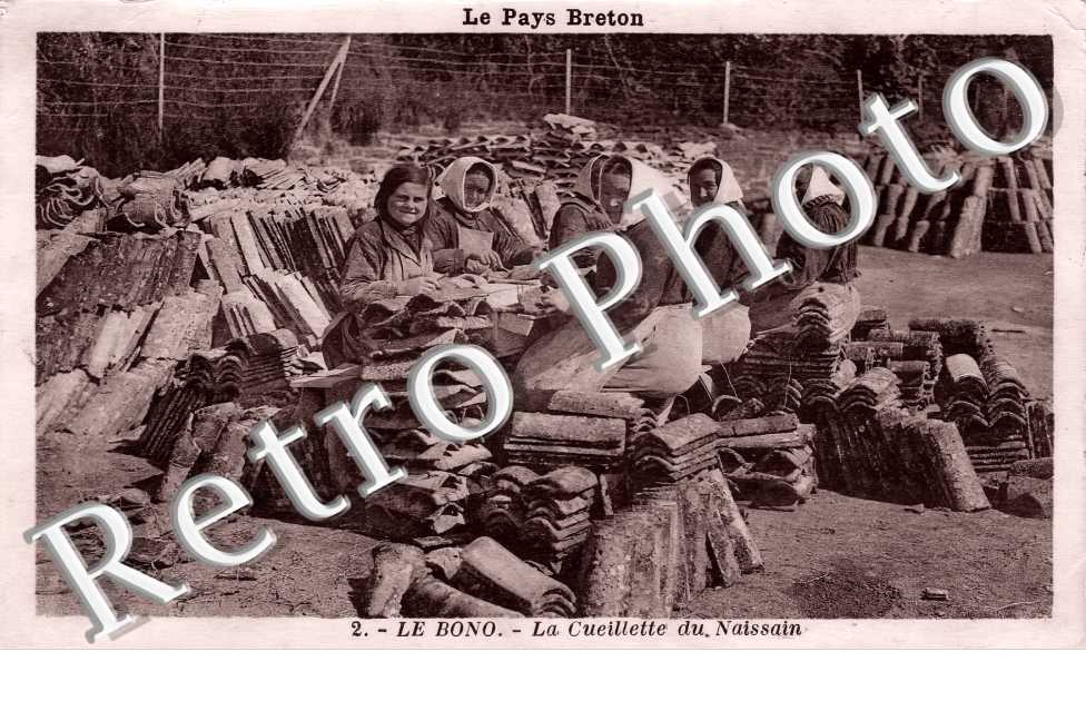 (sans légende)