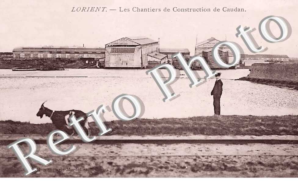 (sans légende)