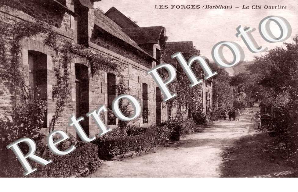 (sans légende)