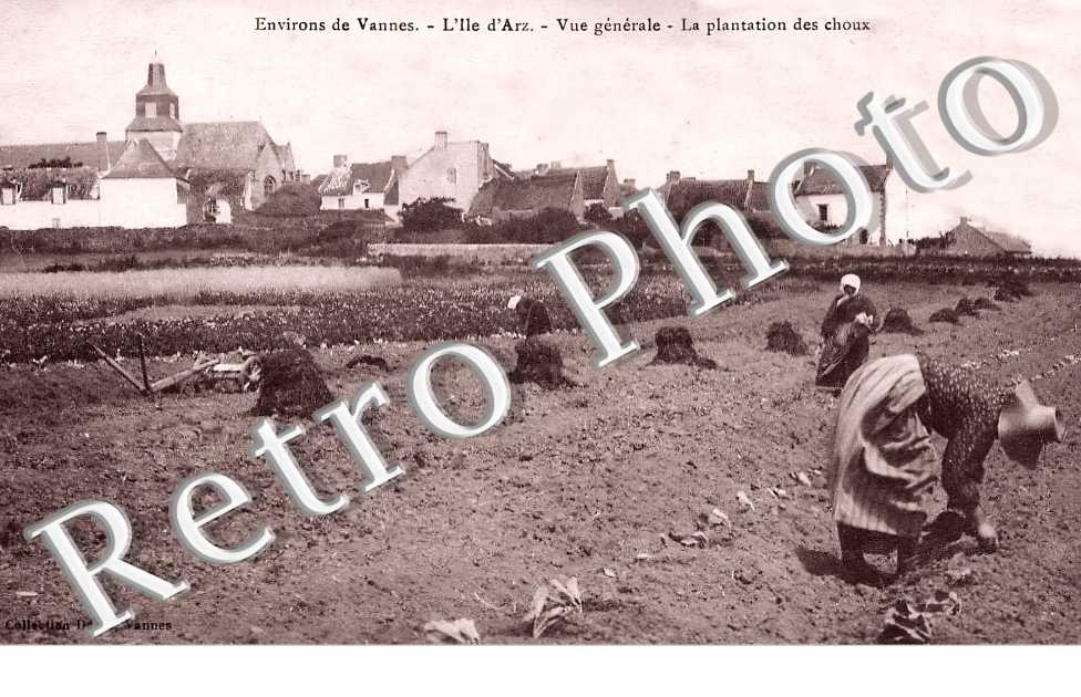 (sans légende)