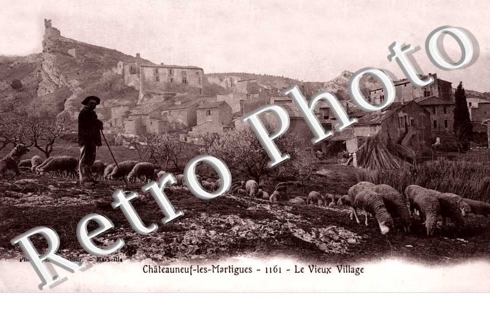 (sans légende)