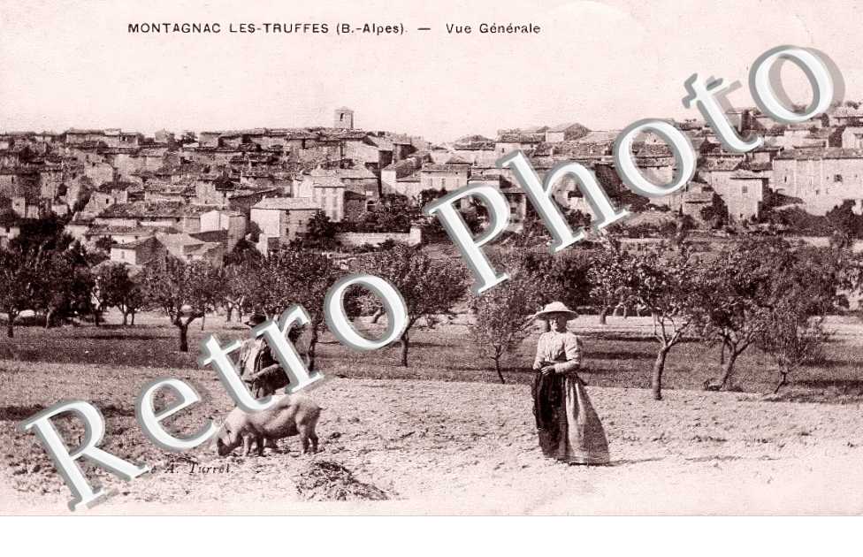 (sans légende)