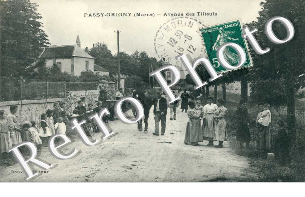 Avenue des Tilleuls