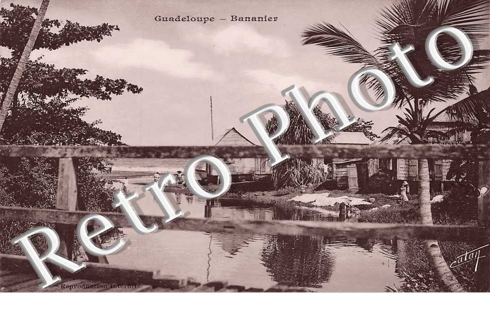 (sans légende)