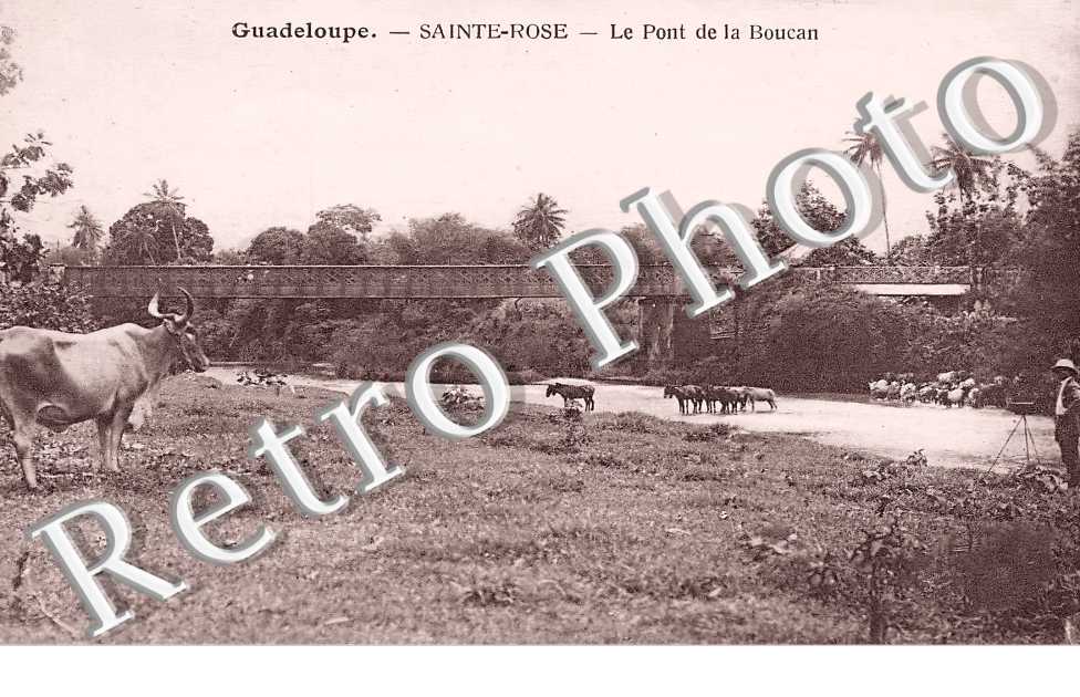 (sans légende)