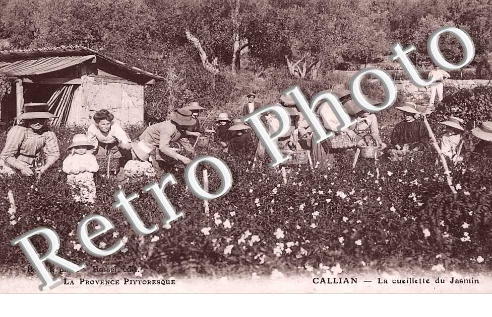 (sans légende)