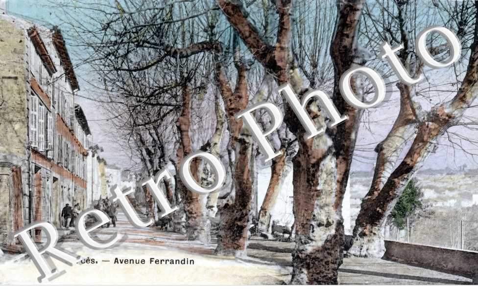 (sans légende)