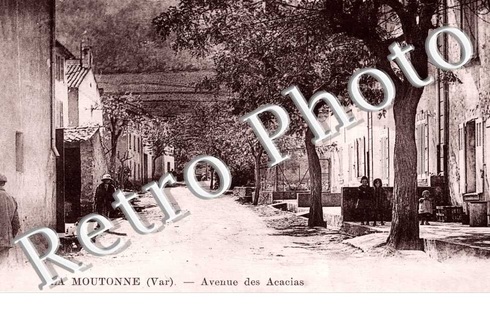 (sans légende)