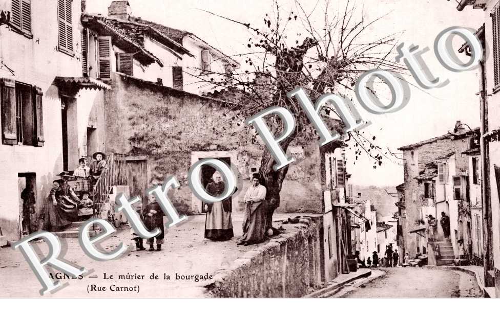 (sans légende)