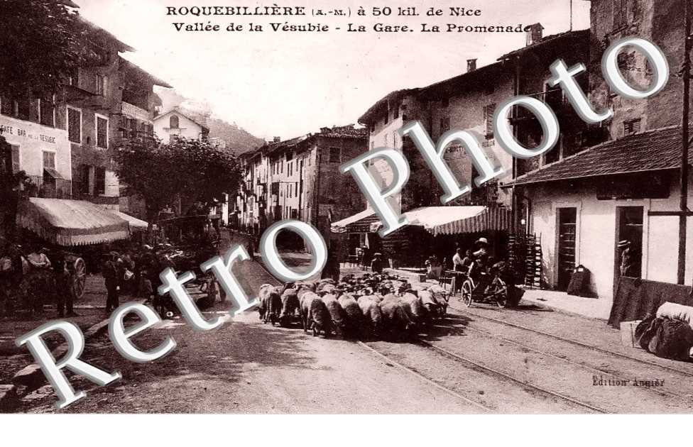 (sans légende)