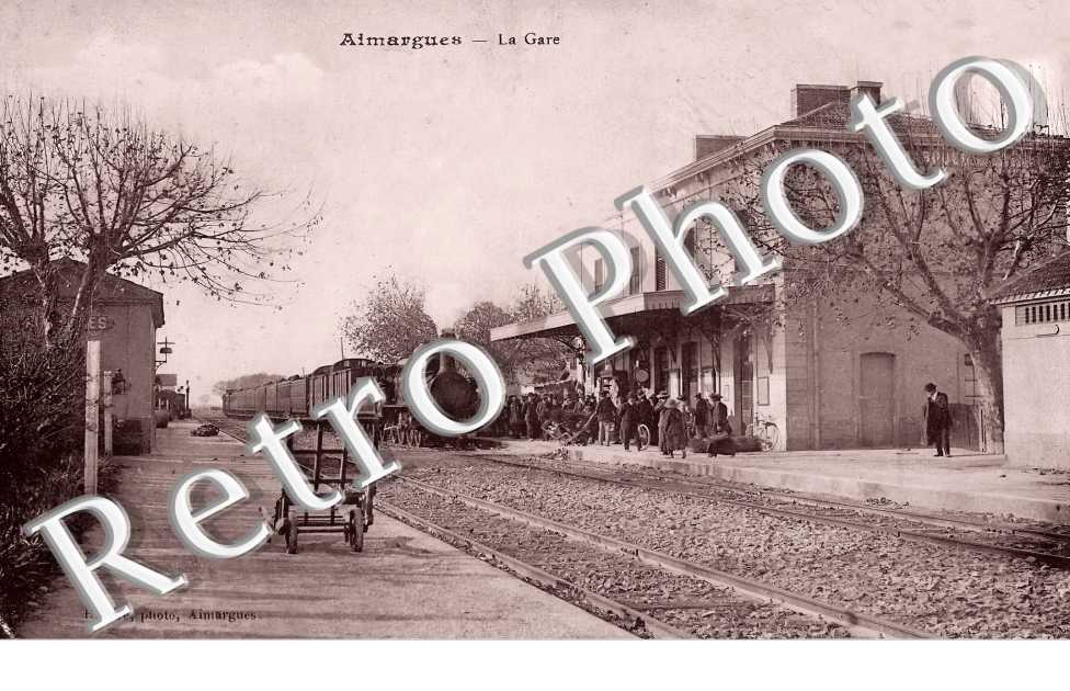 (sans légende)