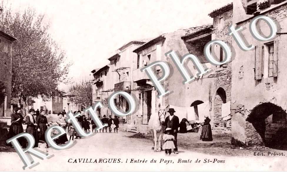 (sans légende)