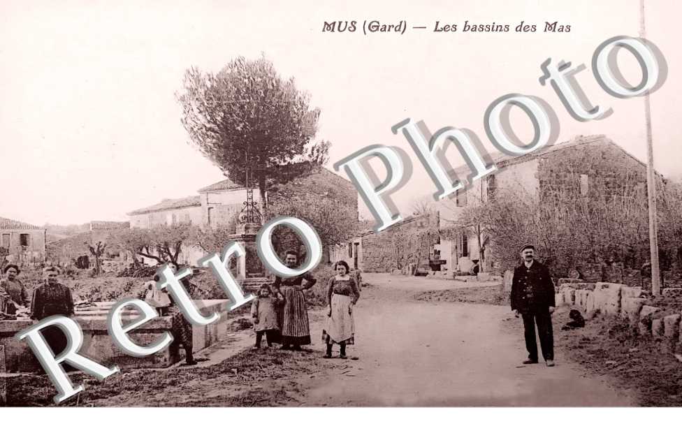 (sans légende)