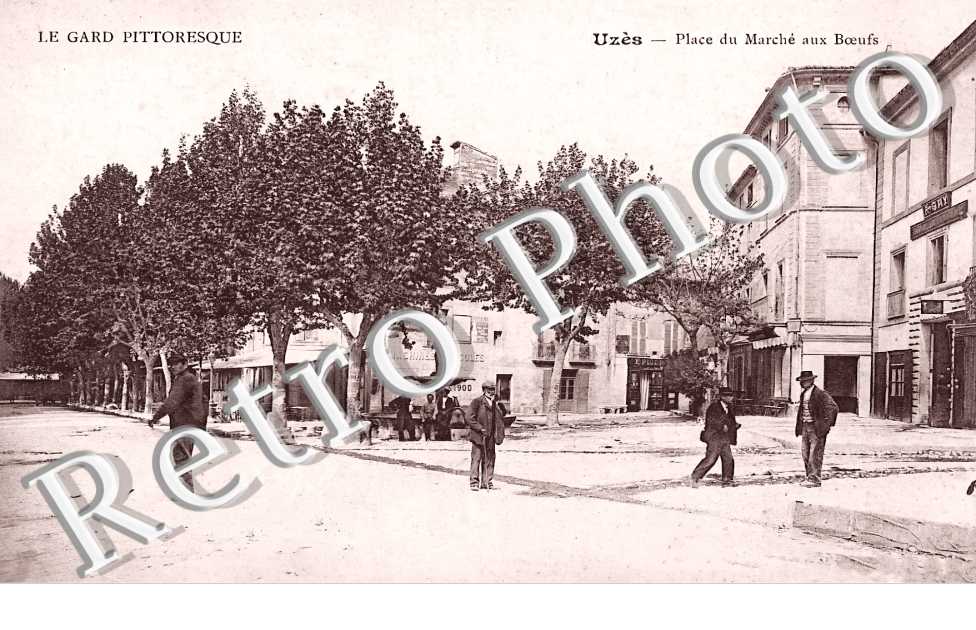 (sans légende)