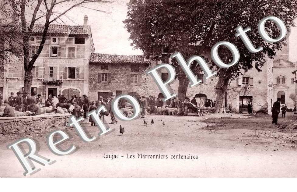 (sans légende)