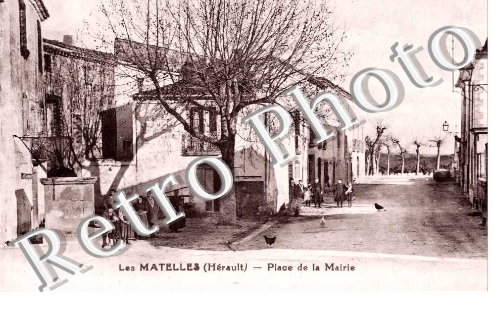 (sans légende)