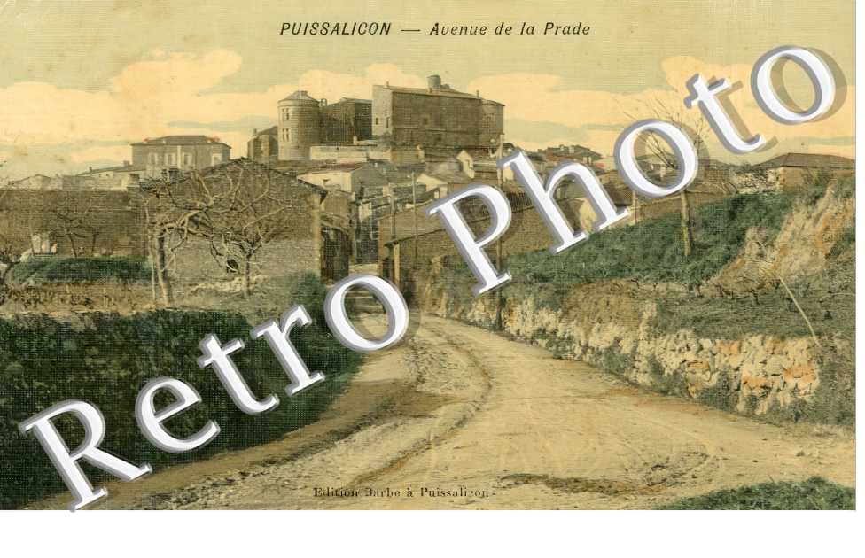 (sans légende)