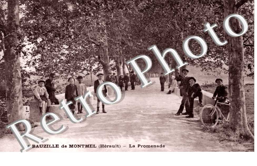 (sans légende)
