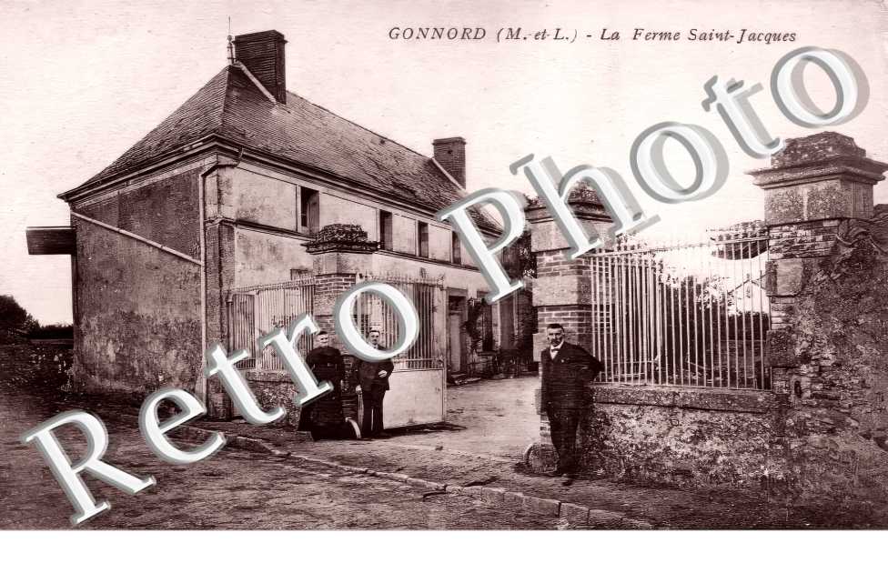 (sans légende)