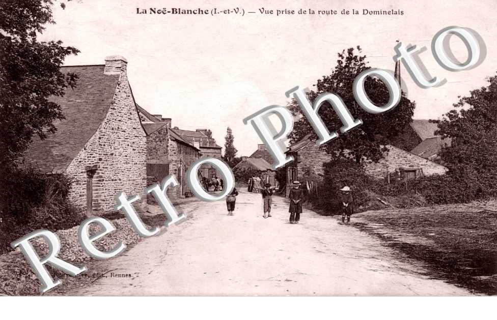 (sans légende)