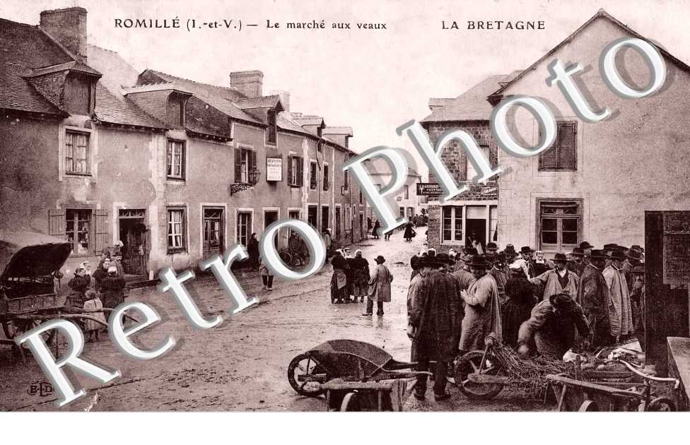 (sans légende)
