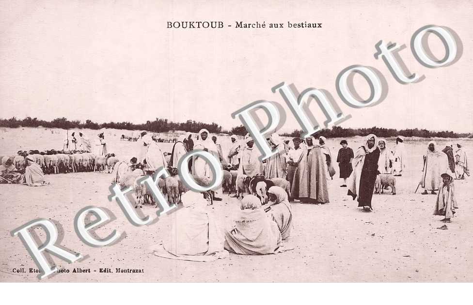 marché aux bestiaux