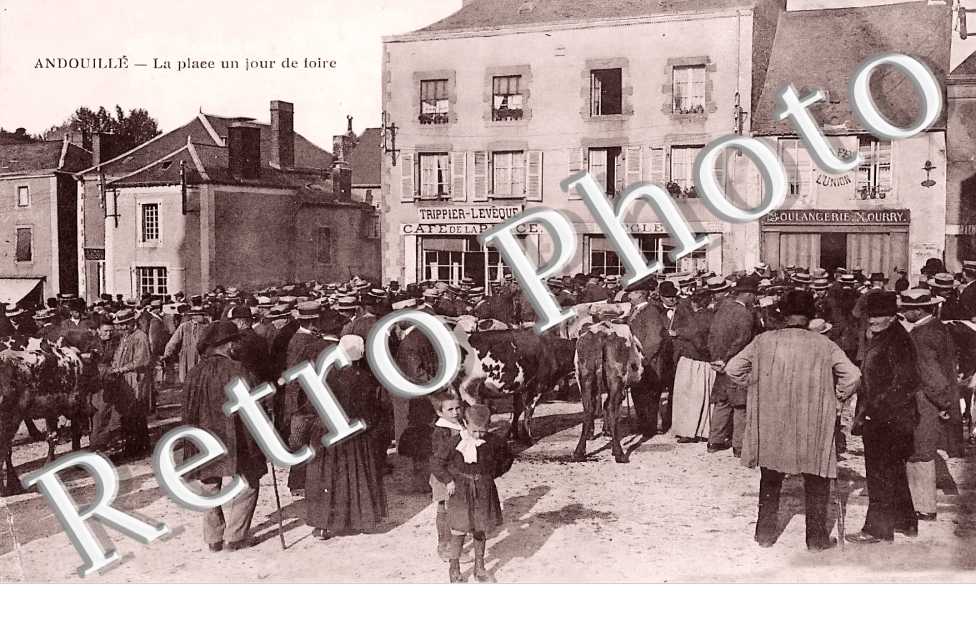 (sans légende)