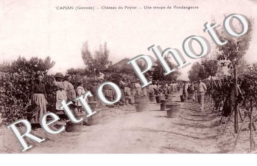 Château du Peyrat. Une troupe de vendangeurs