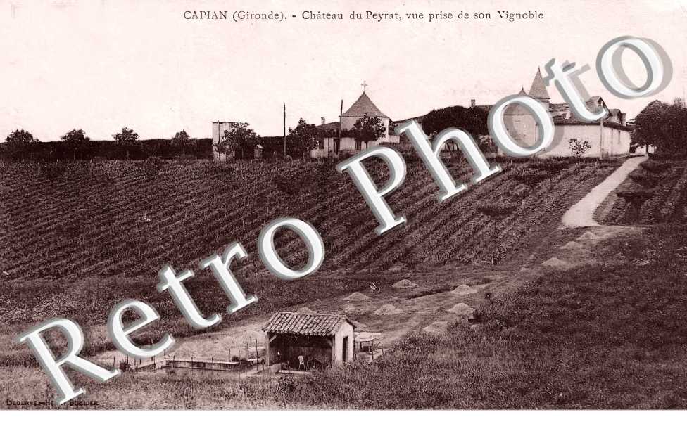 Château du Peyrat, vue prise de son vignoble